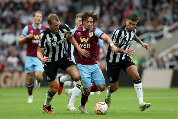 这一理念符 这一理念符