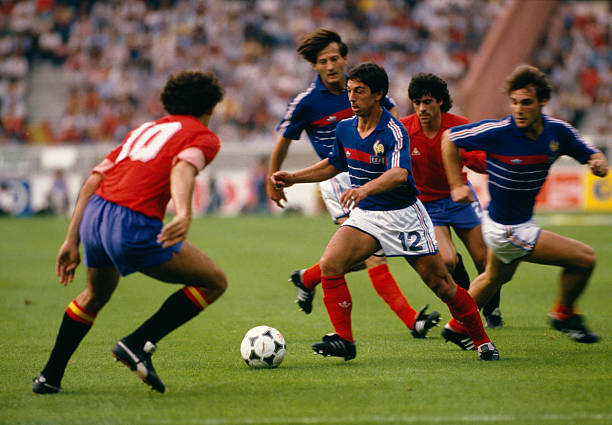 个体表现 个体表现